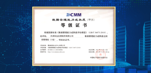 天津和治友德制藥成功通過DCMM貫標(biāo)等級(jí)認(rèn)證，信息技術(shù)服務(wù)邁上新臺(tái)階