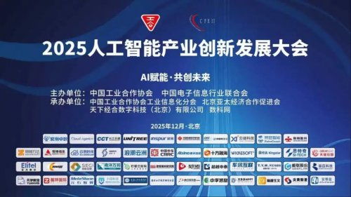 喜訊！極聯(lián)股份榮獲“2025年度軟件和信息技術(shù)服務(wù)業(yè)標(biāo)桿企業(yè)”稱號(hào)